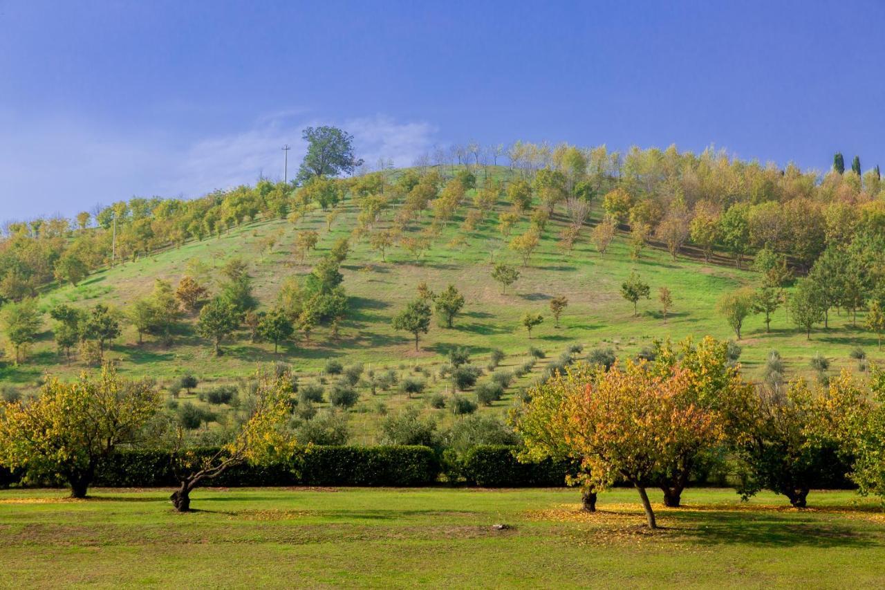 Ca' Malvasia - Bolognarooms Montecchio  Luaran gambar
